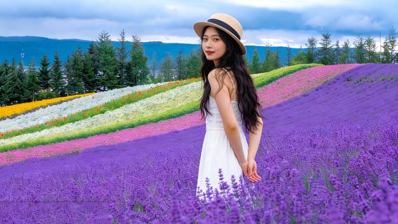 Kumpulan Kecil dengan Kenderaan Khas * Lawatan Sehari Hokkaido Jepun Air Terjun Biei & Teres Makhluk Hutan + Pakej Berkumpulan untuk Bersenang-senang