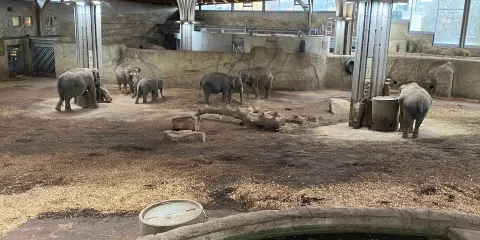 科隆親子包車來回:動物園·朱古力噴泉·德國電影公園 中文