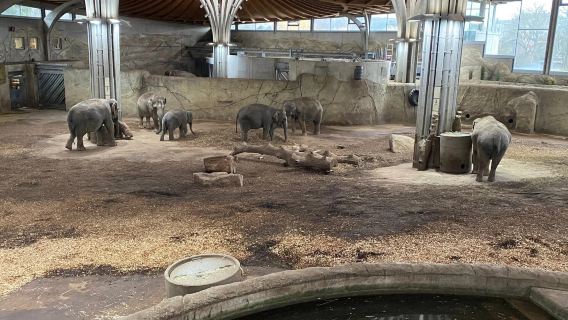 Cologne Sewaan Peribadi Pergi-Balik Keluarga: Zoo · Pancutan Coklat · Taman Filem Jerman Bahasa Cina