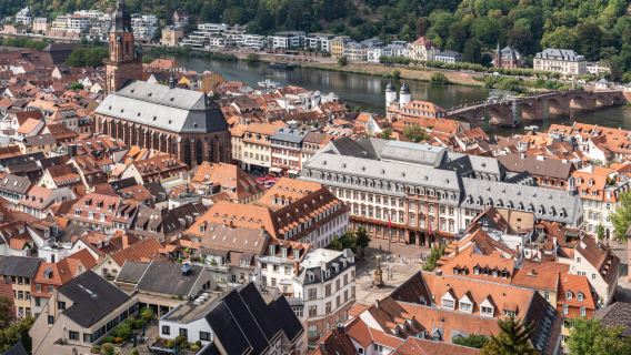 Frankfurt lawatan sehari klasik: Bandar Lama Heidelberg - Rüdesheim - Lembah Rhine