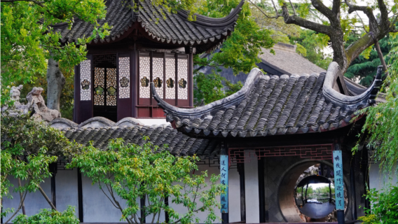 Klassisk 1-dagarsutflykt i Suzhou: Trädgården för ödmjuk förvaltning + Tiger Hill + Suzhou-museet + Pingjiang Road + mystisk gourmetmat