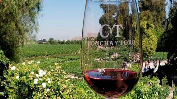 Concha Y Toro Night Tour: Casillero Del Diablo with Dinner