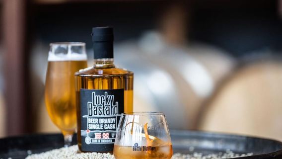 Eindhoven: Bottle Distillery Tour and Tasting Experience