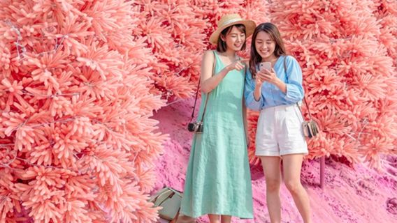 Hantangang UNESCO Geopark & Pocheon Highlights Tour from Seoul (Y-Bridge, Pink Sand, Art Valley)