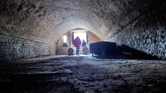 Southampton: 2 Hour Guided Walking Tour with Medieval Vaults
