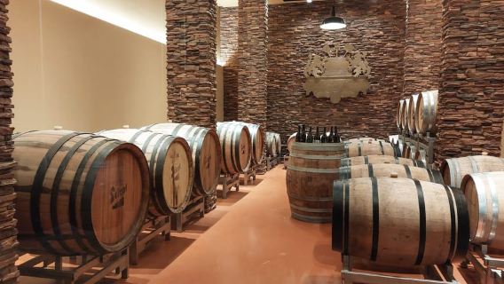 Salzburg: Stiegl Brewery Tour with Beer Tasting
