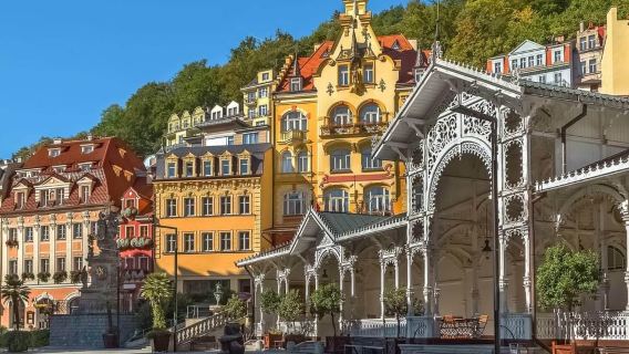 Karlovy Vary: Mineral Hot Springs Tasting and Walking Tour