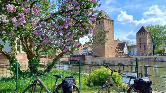 Strasbourg E-Bike Essentials - Top Sights in 2h30