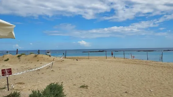 From Paphos: Famagusta, Salamis, and Varosha Walking Tour