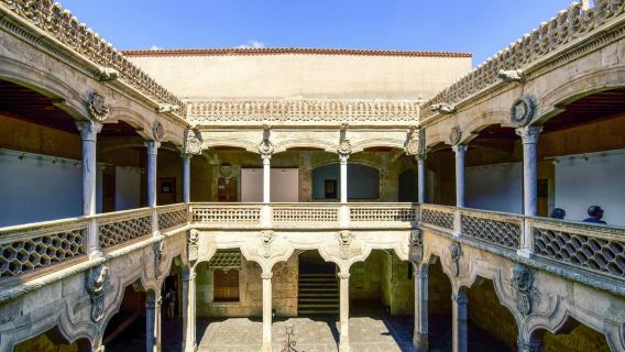Salamanca Monumental Sightseeing Tour: your first introduction to Salamanca