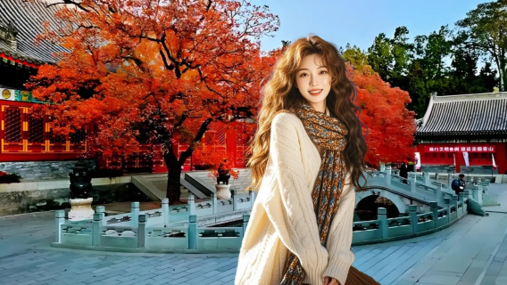 Beijing Xiangshan Park private chartered tour [VIP private charter/includes transfer + admission ticket]