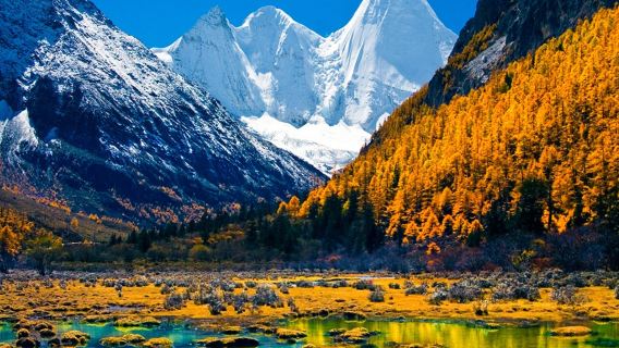 Shangri-La - Yading Daocheng bas ulang-alik [4-10 orang] pilihan bertolak·balik