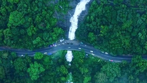 Kochi: Munnar Day Trip to Eravikulam, Lockhart & Falls