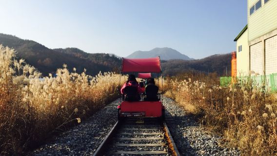 tour 1 ngày(Khởi hành từ Seoul, hướng dẫn viên tiếng Trung và tiếng Anh)