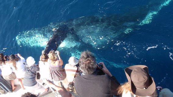 Newport BeachTours