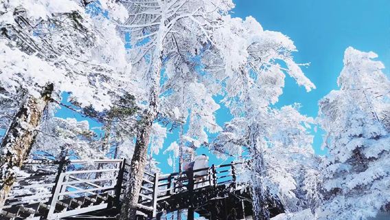 轎子雪山包車一日遊：三環內接駁+一單一團+純玩無購物+自由行