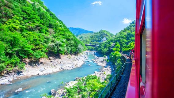 京都三千院嵐山日帰りツアー【嵯峨野電車・竹林の道・天龍寺・渡月橋】