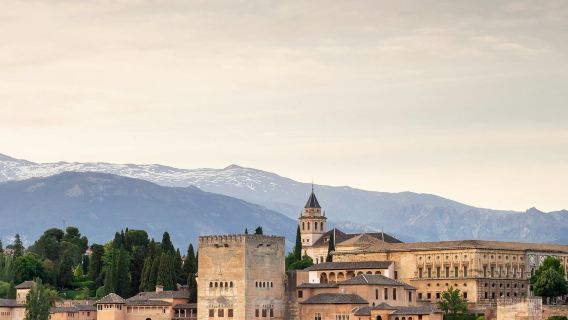 Alhambra: Guided Tour with Flamenco Show & Drink + Transport from Granada