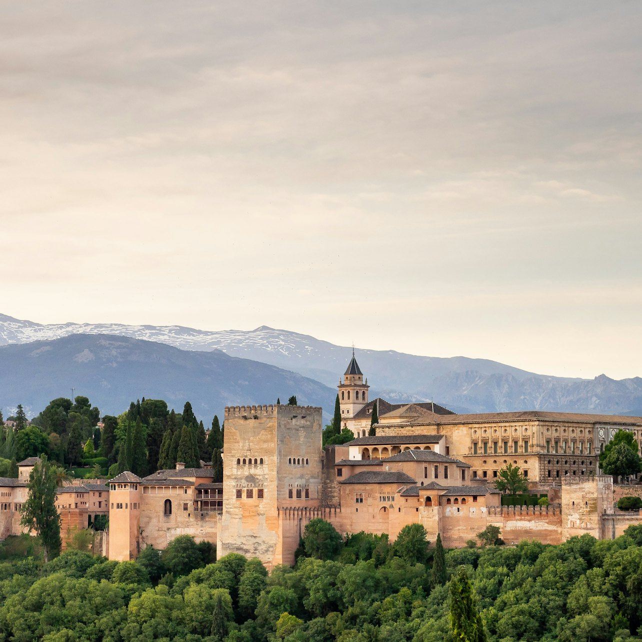 อัลฮัมบรา: ทัวร์พร้อมไกด์ ชมการแสดงฟลาเมนโก เครื่องดื่ม และบริการรับส่งจากกรานาดา