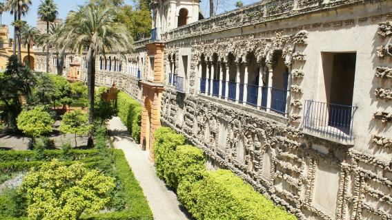 Alcázar Reale di Siviglia: Visita guidata