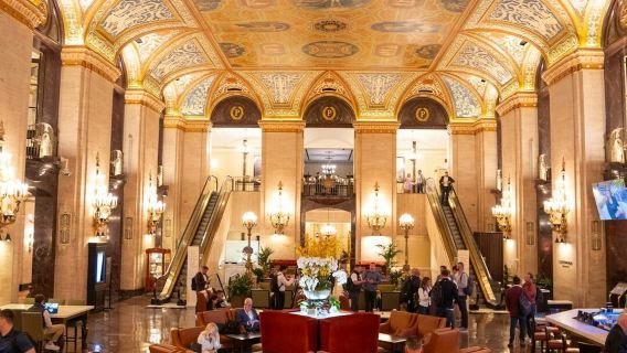 Chicago: Culture & Architecture Guided Tour