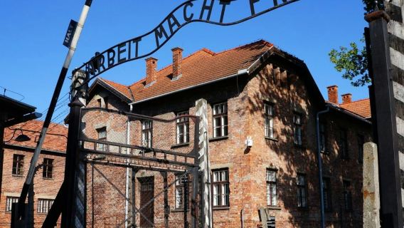 Auschwitz-Birkenau: Visita guiada + Transporte