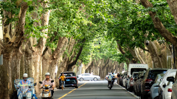 Shanghai Private French Concession Tour: Alley to Mansion (Xintiandi, Tianzifang, WuKang)