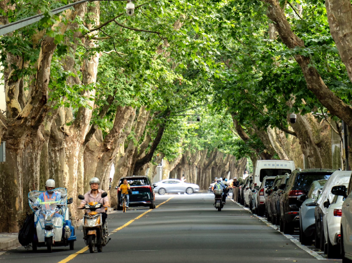 Privater Shanghai-Tour durch die Französische Konzession: Von der Gasse zur Villa (Xintiandi, Tianzifang, WuKang)