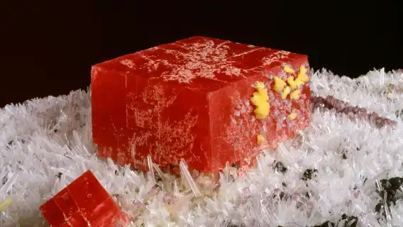 Denver Museum of Nature & Science: Entry Ticket