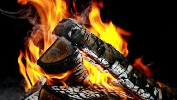 Lapland Northern Lights Tour with Lappish Barbecue