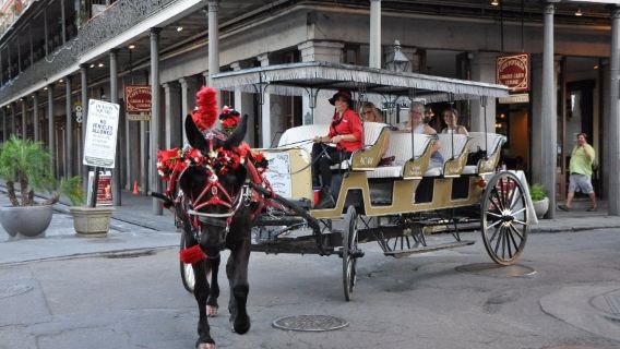 French Quarter by Mule Drawn Carriage: 60-Minute Tour