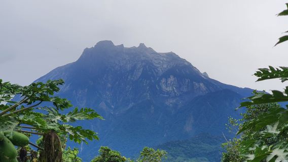 Excursion à la journée partagée au parc Kinabalu et aux sources chaudes de Poring