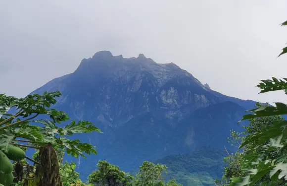 神山公園及波令溫泉拼團一日遊
