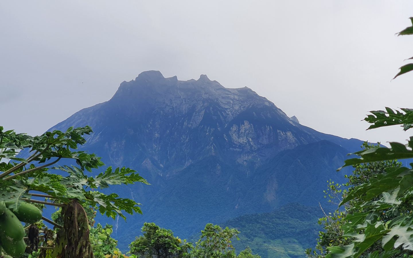 Kinabalu Park & Poring Thermalquellen 1-Tages-Gruppentour