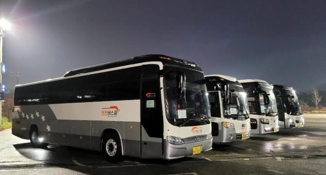 Bus pulang pergi Seoul-Everland [Stasiun Hongik Univ./Stasiun Myeongdong/Stasiun Dongdaemun History 