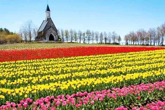 牧歌之裏+飛驒高山+白川鄉一日遊【精品小團】