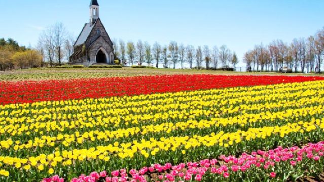 牧歌之裏+飛驒高山+白川鄉一日遊【精品小團】
