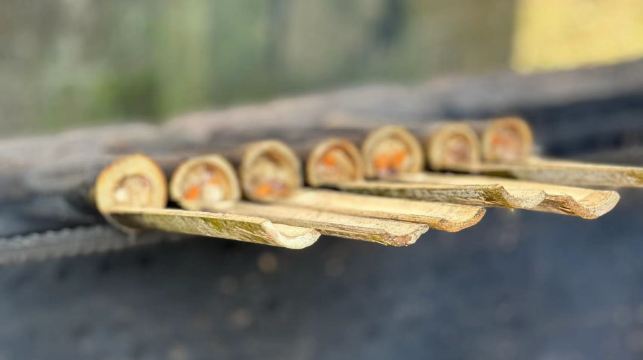 桂林：蘆笛岩及龍脊梯田1日獨立包團