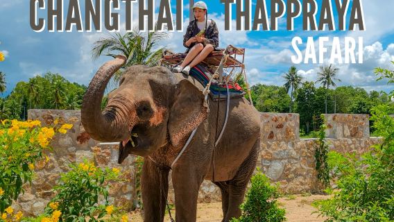 สวนสนุกหมู่บ้านช้างพัทยา ไทย Chang Thai Thappraya Safari [ขี่ช้าง|โหนสลิงในป่า|รถเอทีวีออฟโรด|ยิงปืน|บันจี้|บริการรับส่งจากโรงแรม