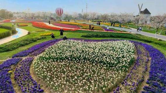 金寶德莊園+孝感鳳凰天仙城（都包入場門票|有跟拍服務）