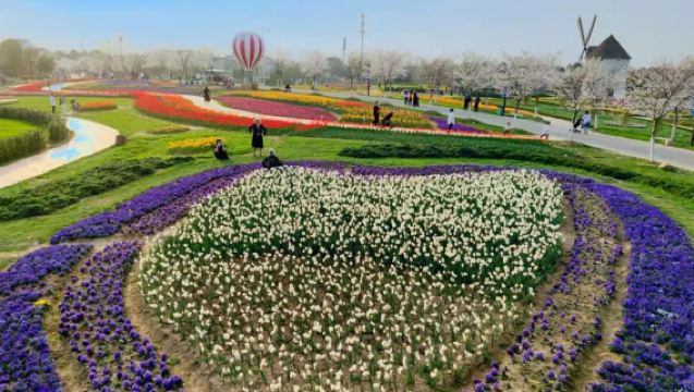 Taman Bunga Emas + Bandar Phoenix Xiaogan (termasuk tiket masuk)|Ada perkhidmatan penggambaran)