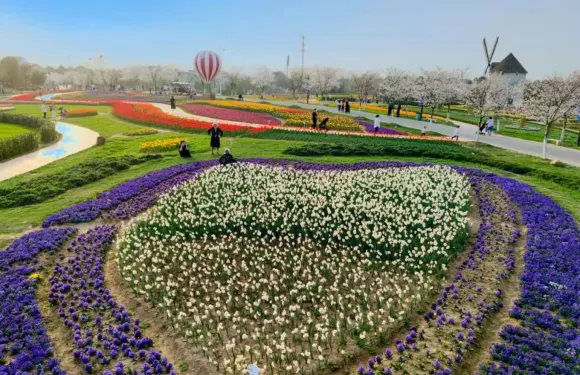 金卉莊園+孝感鳳凰天仙城（已包門票）|有跟拍服務）