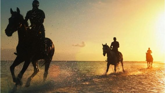 Esperienza a cavallo sulla spiaggia di Mauritius - Beach Horse Riding