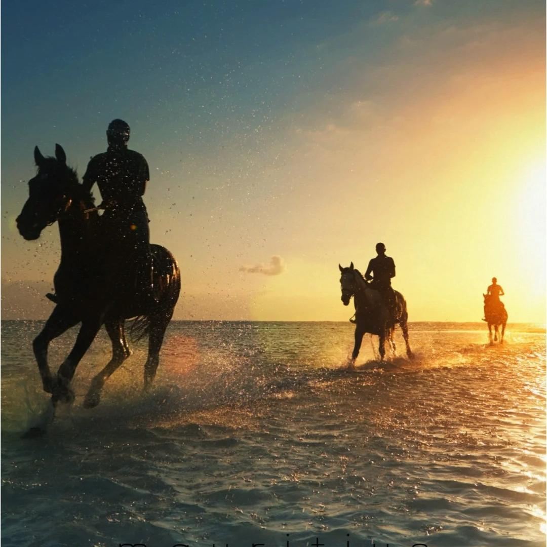 Snorkeling with Turtles in Mauritius + Horseback Riding on the Northern Beach [Including Transfer|1-day tour