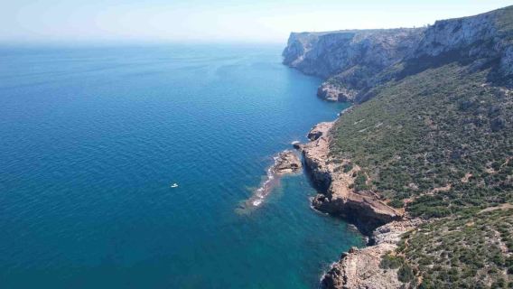 Desde Denia: Excursión en barco a la Cueva de la Tallada con baño opcional