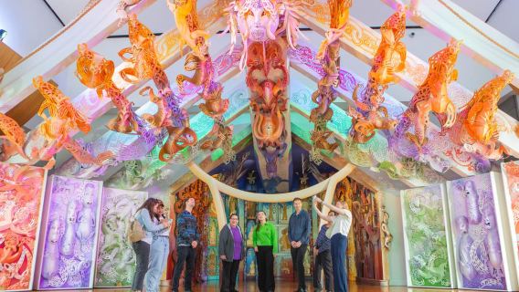 Wellington: ingresso generale al Museo della Nuova Zelanda