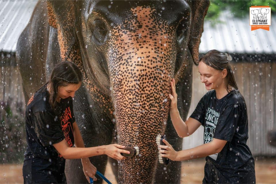 จากภูเก็ต: ทริปให้อาหารและอาบน้ำช้างที่ Elephant Jungle Sanctuary