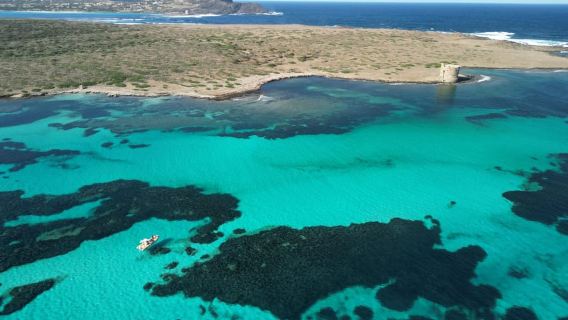 Stintino: Mezza giornata all' Asinara con Aperitivo a bordo