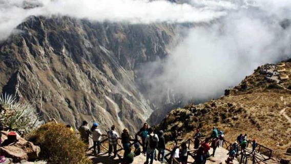Route Chivay - Puno | Patapampa - wetlands