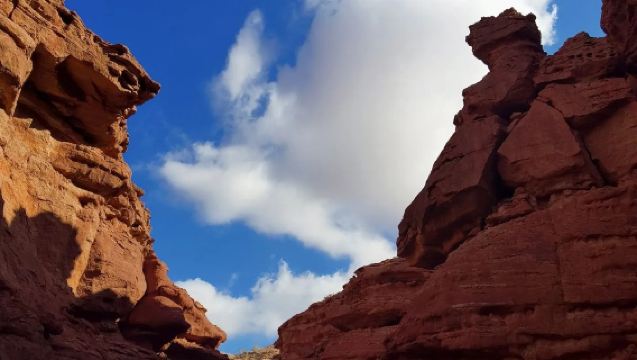 Lawatan sehari Yinchuan Wuhai Alxa Tasik Wuhai + Lembah Impian